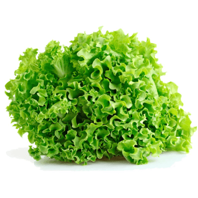 Lechuga crespa mercado